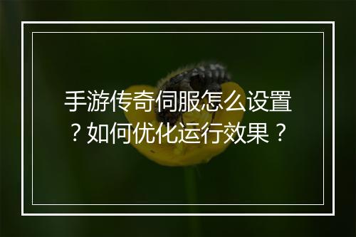 手游传奇伺服怎么设置？如何优化运行效果？