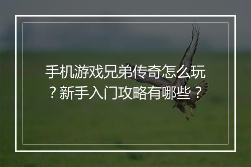 手机游戏兄弟传奇怎么玩？新手入门攻略有哪些？