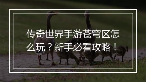 传奇世界手游苍穹区怎么玩？新手必看攻略！
