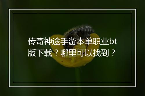 传奇神途手游本单职业bt版下载？哪里可以找到？