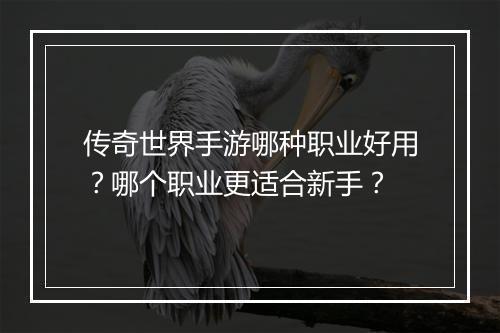 传奇世界手游哪种职业好用？哪个职业更适合新手？