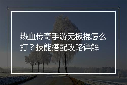 热血传奇手游无极棍怎么打？技能搭配攻略详解