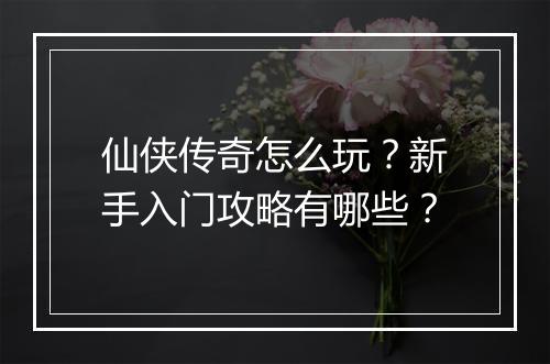 仙侠传奇怎么玩？新手入门攻略有哪些？