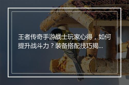 王者传奇手游战士玩家心得，如何提升战斗力？装备搭配技巧揭秘
