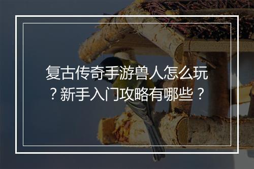复古传奇手游兽人怎么玩？新手入门攻略有哪些？