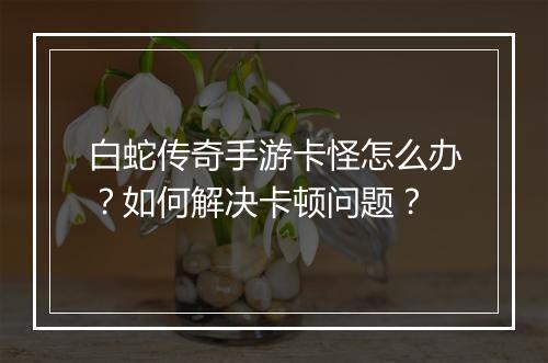 白蛇传奇手游卡怪怎么办？如何解决卡顿问题？