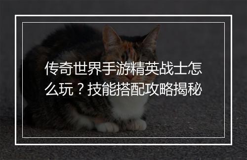 传奇世界手游精英战士怎么玩？技能搭配攻略揭秘