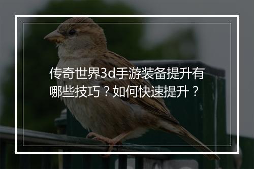 传奇世界3d手游装备提升有哪些技巧？如何快速提升？