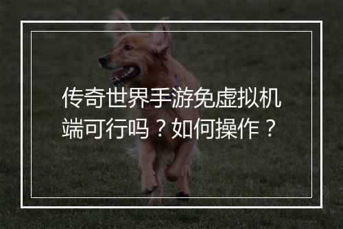 传奇世界手游免虚拟机端可行吗？如何操作？