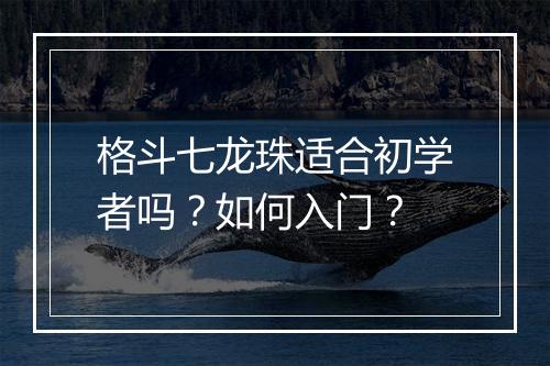 格斗七龙珠适合初学者吗？如何入门？