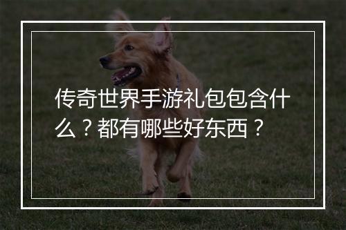 传奇世界手游礼包包含什么？都有哪些好东西？
