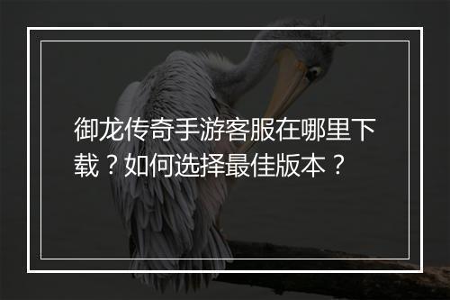 御龙传奇手游客服在哪里下载？如何选择最佳版本？