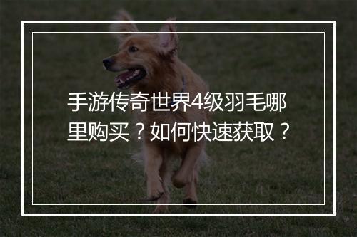 手游传奇世界4级羽毛哪里购买？如何快速获取？