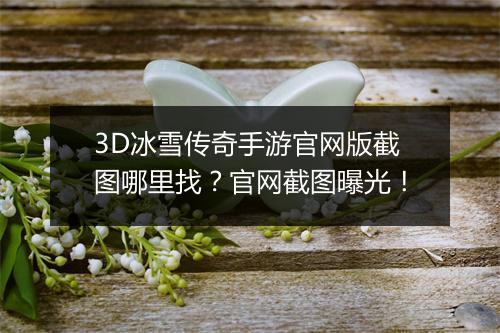 3D冰雪传奇手游官网版截图哪里找？官网截图曝光！