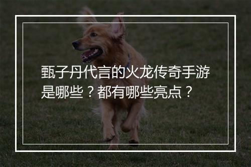 甄子丹代言的火龙传奇手游是哪些？都有哪些亮点？