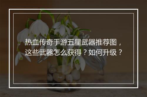 热血传奇手游五星武器推荐图，这些武器怎么获得？如何升级？