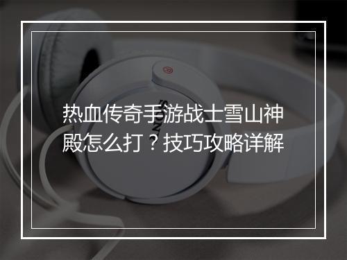 热血传奇手游战士雪山神殿怎么打？技巧攻略详解