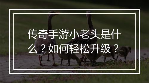 传奇手游小老头是什么？如何轻松升级？