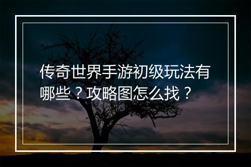 传奇世界手游初级玩法有哪些？攻略图怎么找？