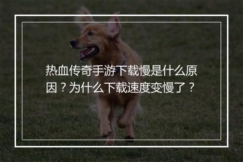 热血传奇手游下载慢是什么原因？为什么下载速度变慢了？