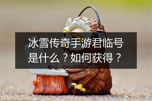 冰雪传奇手游君临号是什么？如何获得？
