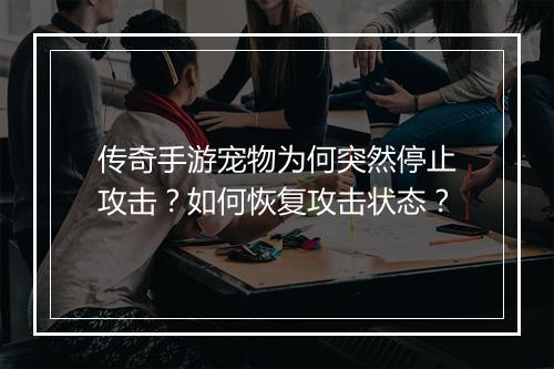 传奇手游宠物为何突然停止攻击？如何恢复攻击状态？