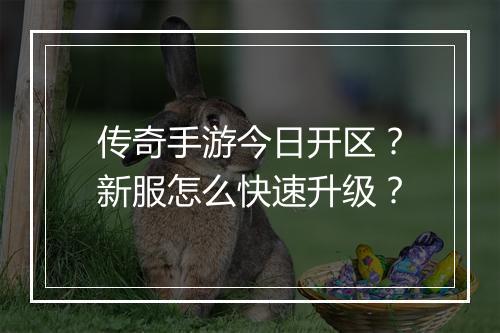 传奇手游今日开区?新服怎么快速升级?