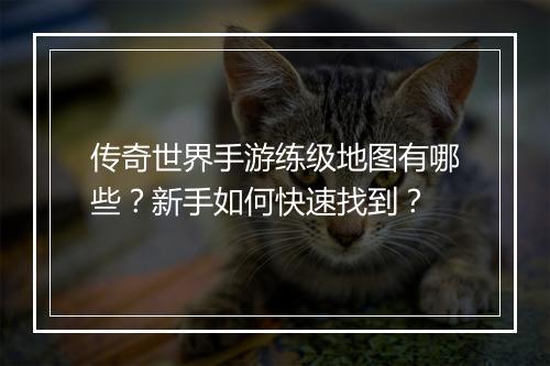 传奇世界手游练级地图有哪些？新手如何快速找到？