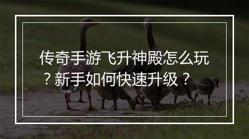 传奇手游飞升神殿怎么玩？新手如何快速升级？