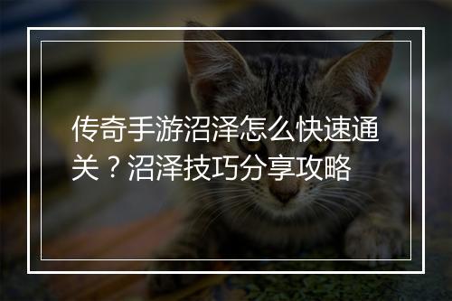 传奇手游沼泽怎么快速通关？沼泽技巧分享攻略