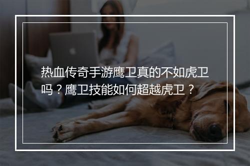 热血传奇手游鹰卫真的不如虎卫吗？鹰卫技能如何超越虎卫？