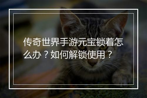 传奇世界手游元宝锁着怎么办？如何解锁使用？