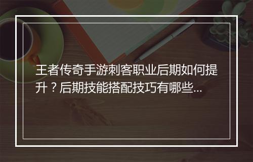 王者传奇手游刺客职业后期如何提升？后期技能搭配技巧有哪些？