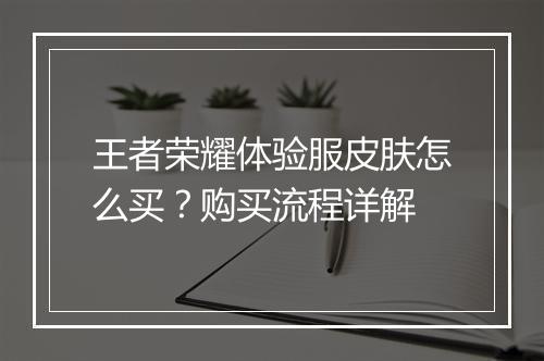 王者荣耀体验服皮肤怎么买？购买流程详解