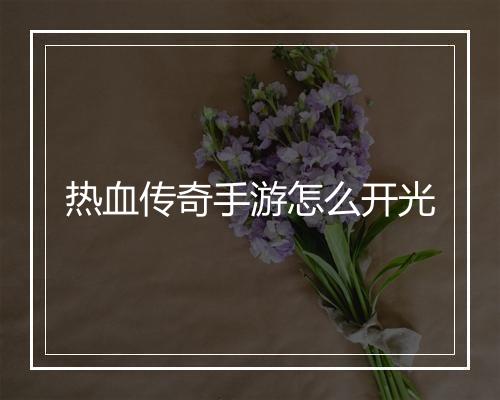 热血传奇手游怎么开光