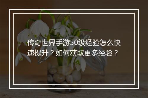 传奇世界手游50级经验怎么快速提升？如何获取更多经验？