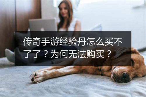 传奇手游经验丹怎么买不了了？为何无法购买？
