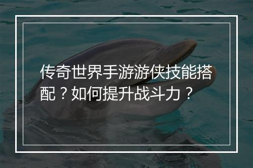 传奇世界手游游侠技能搭配？如何提升战斗力？