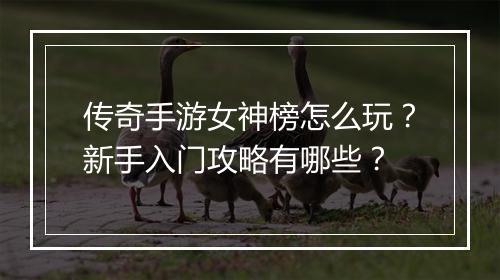 传奇手游女神榜怎么玩？新手入门攻略有哪些？