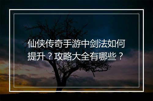 仙侠传奇手游中剑法如何提升？攻略大全有哪些？