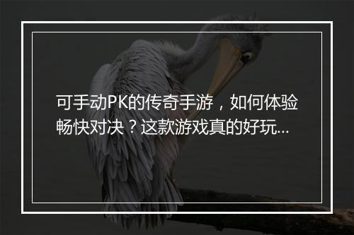 可手动PK的传奇手游，如何体验畅快对决？这款游戏真的好玩吗？