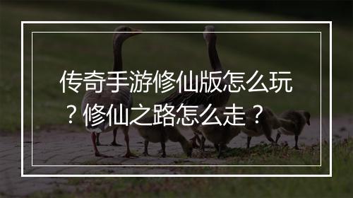 传奇手游修仙版怎么玩？修仙之路怎么走？