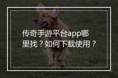 传奇手游平台app哪里找？如何下载使用？