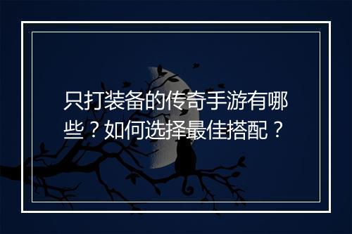 只打装备的传奇手游有哪些？如何选择最佳搭配？