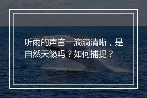 听雨的声音一滴滴清晰，是自然天籁吗？如何捕捉？
