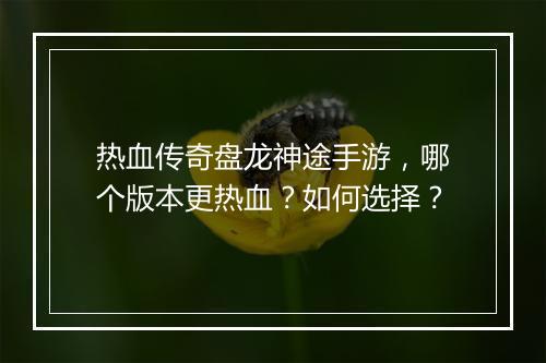热血传奇盘龙神途手游，哪个版本更热血？如何选择？