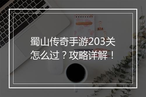 蜀山传奇手游203关怎么过？攻略详解！