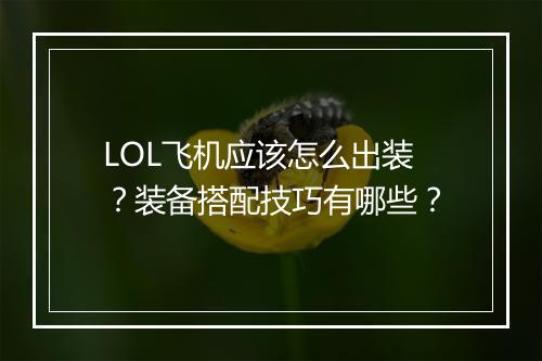 LOL飞机应该怎么出装？装备搭配技巧有哪些？