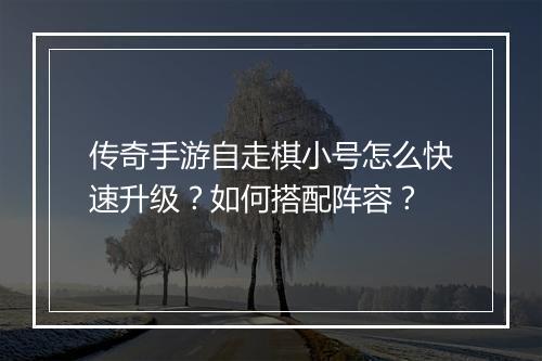 传奇手游自走棋小号怎么快速升级？如何搭配阵容？