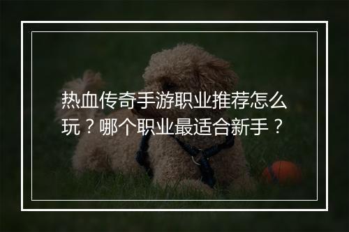 热血传奇手游职业推荐怎么玩？哪个职业最适合新手？